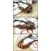 Ожерелье luxury crystal necklace